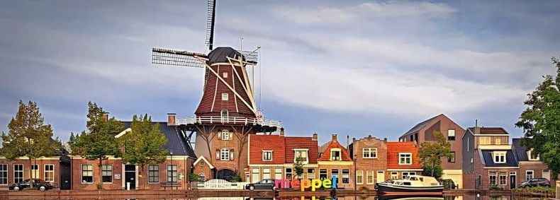 De muzikale kikker
